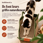 The Claw Basket™ | The natural territory indoor cats need