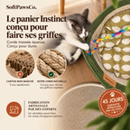 The Claw Basket™ | The natural territory indoor cats need