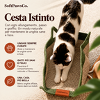 The Claw Basket™ | The natural territory indoor cats need