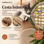 The Claw Basket™ | The natural territory indoor cats need