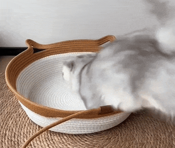 WHY CLAW BASKET?