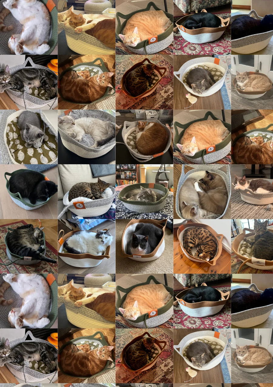 Über 12.000 Katzen haben endlich mit dem Krallenbeißen aufgehört