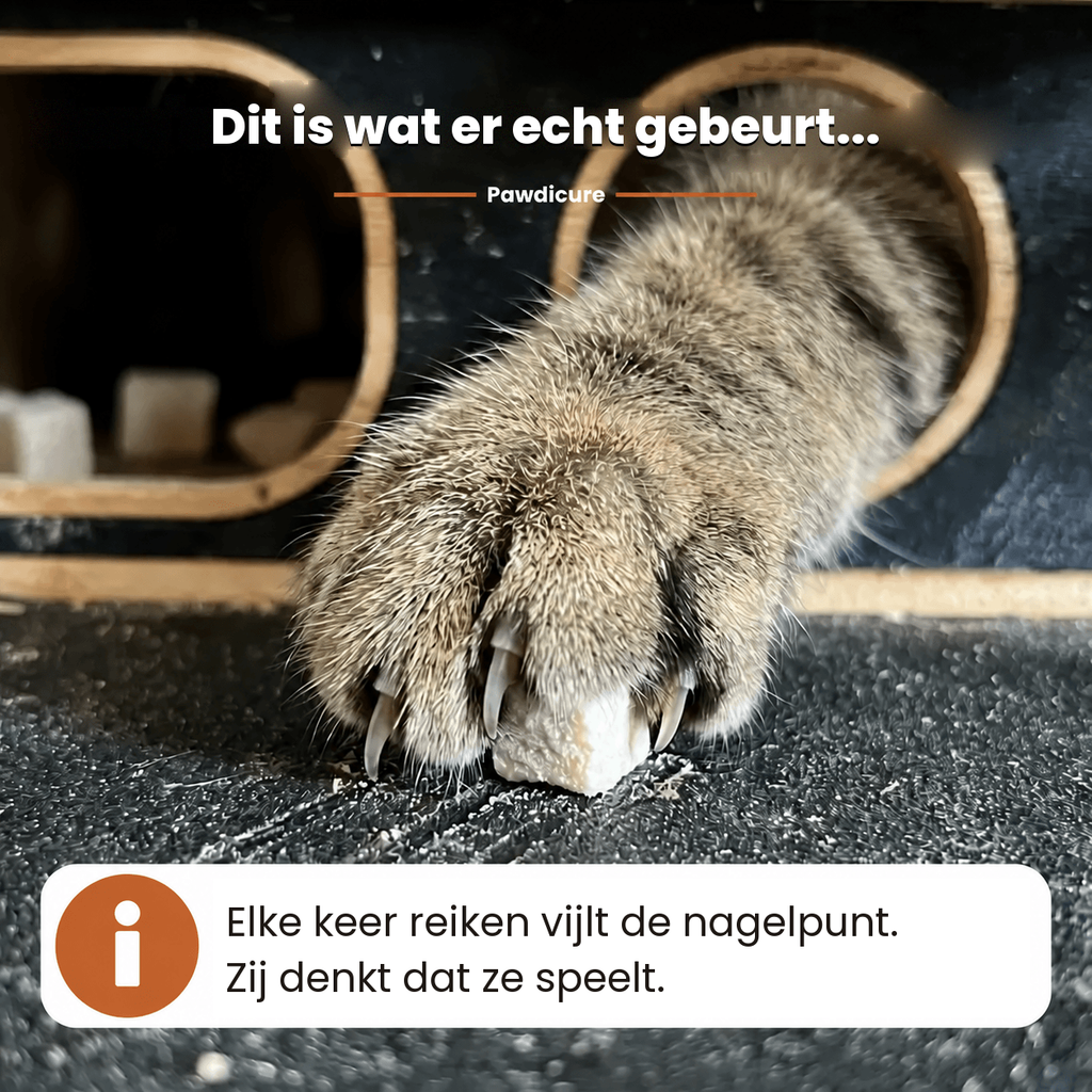 Close-up van een kattenpoot die de nagel vijlt in de Pawdicure-box