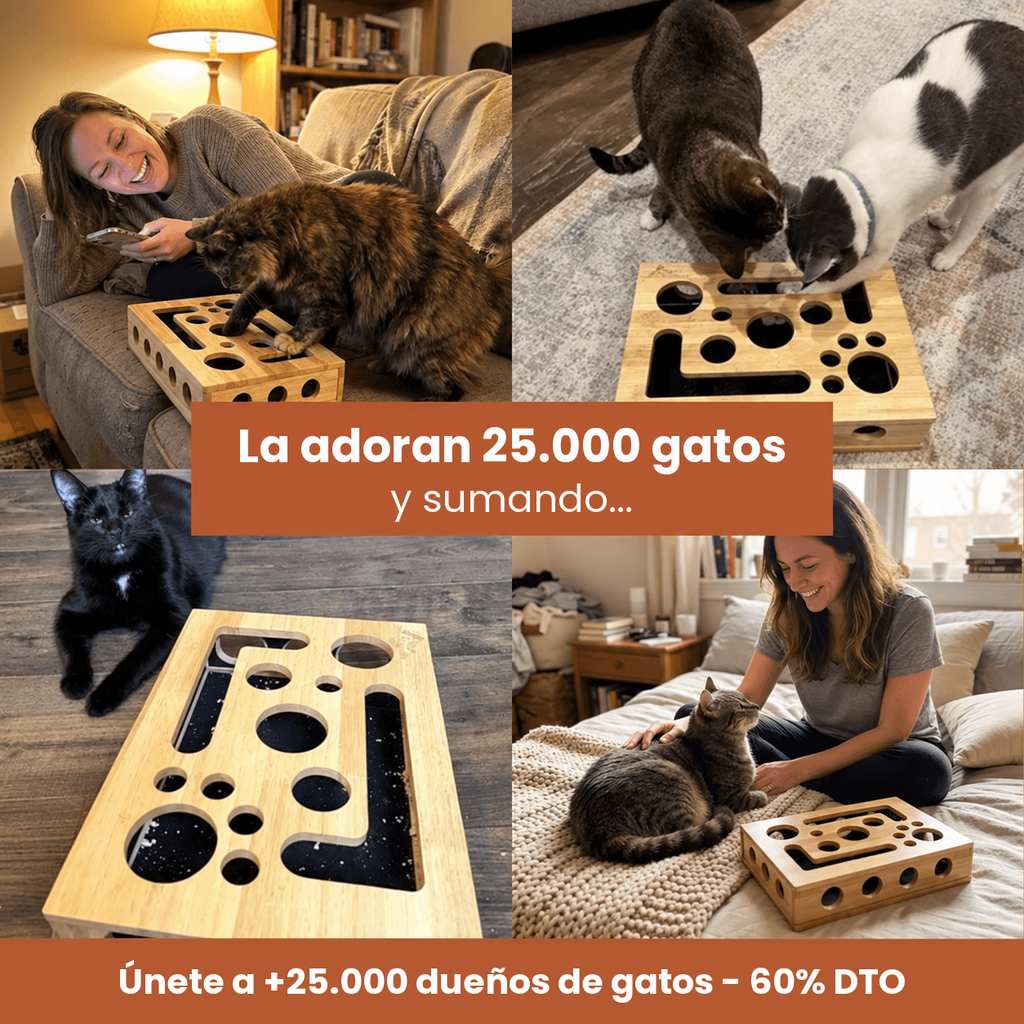 Gatos y sus dueños usando la Pawdicure en casa, ya la adoran 25.000 gatos