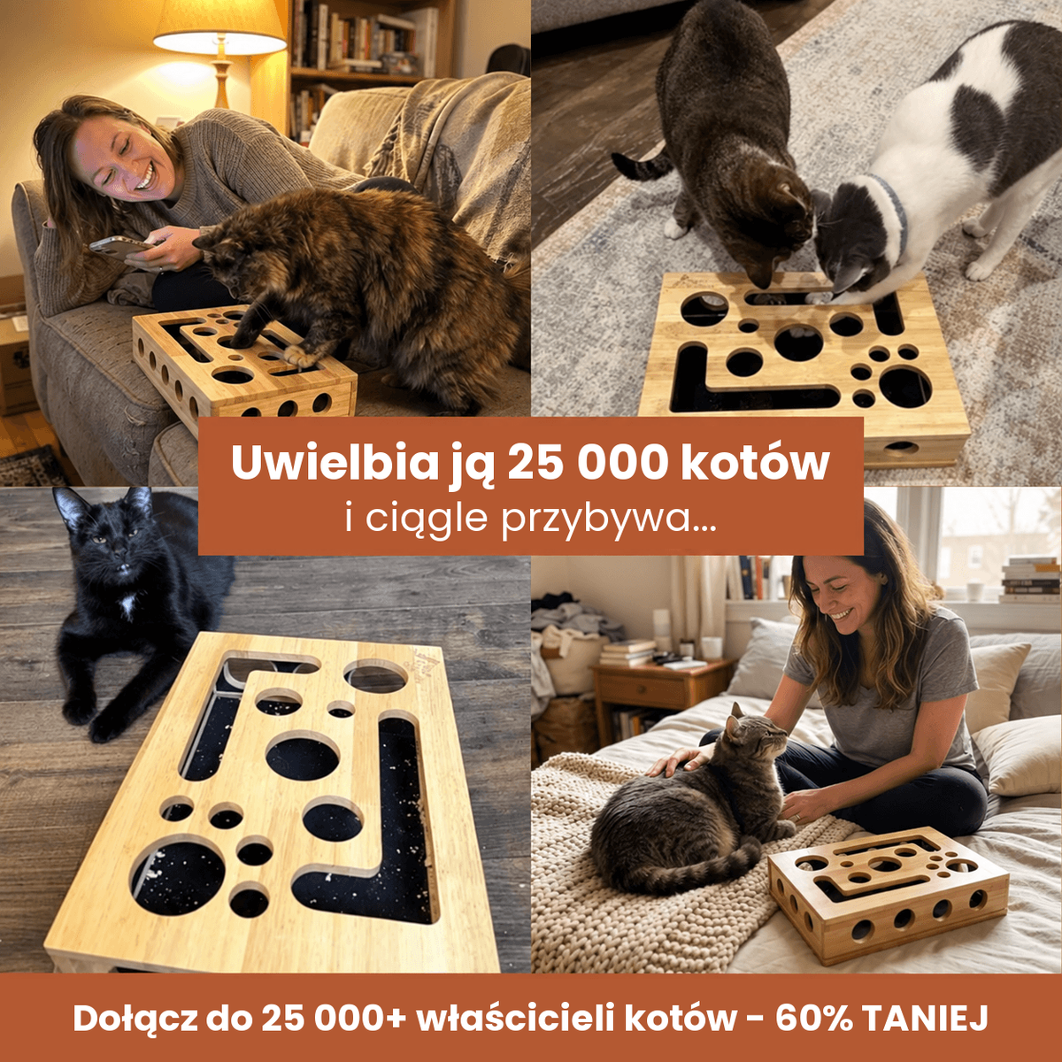 Koty i ich właściciele korzystający z Pawdicure w domu, uwielbia ją już 25 000 kotów